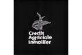 Crédit Agricole Immobilier logo